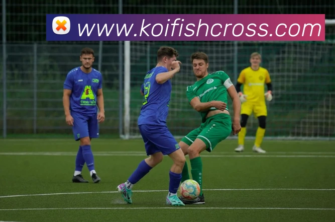 国际认证